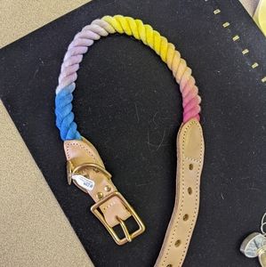 Designer rainbow dog collar